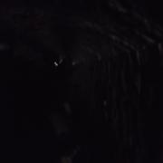 DSCF1251