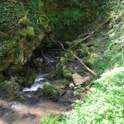 DSCF1255
